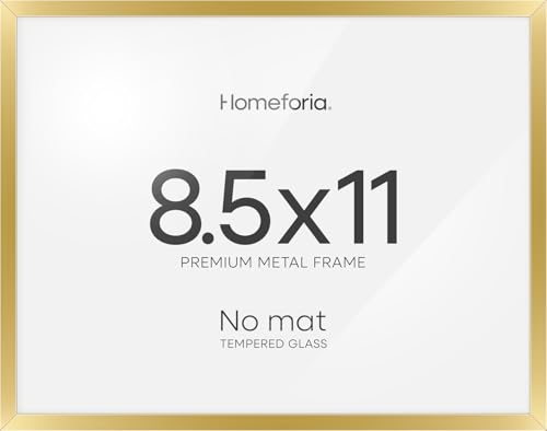 8.5x11 Gold Diploma Frame (2 Count)