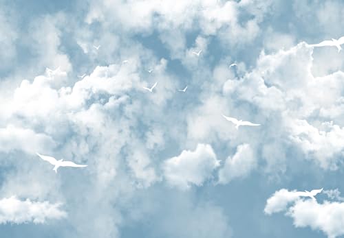 Cloud Wallpaper for Ceiling White Pigeon Wall Mural