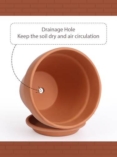 Terracotta Pot with Saucer