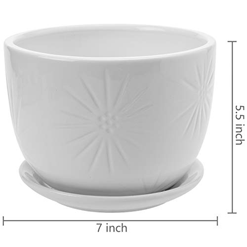 7 Inch Round White Ceramic Plant Pot with Drainage Hole and Attached Saucer