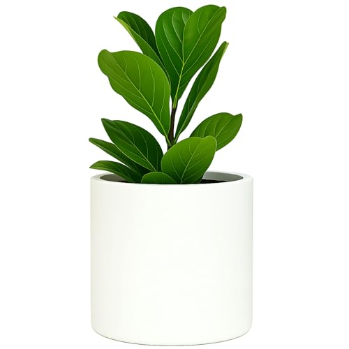 Large Planter for Indoor or Outdoor