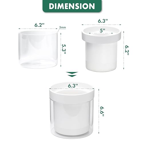 6 Inch Self Watering Planter (2 Count)
