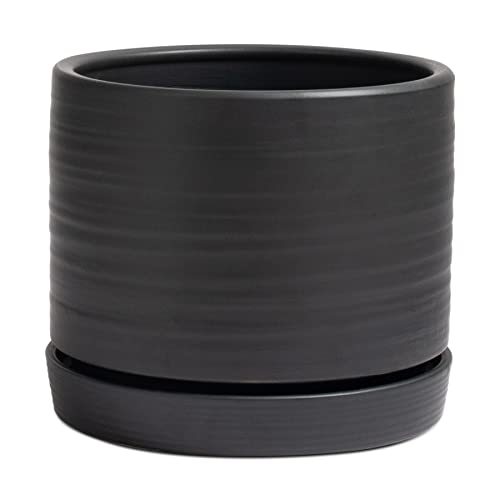 8 Inch Pots for Plants