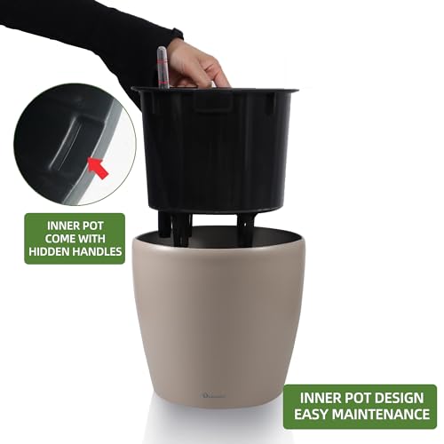 9x8 Self Watering Planter