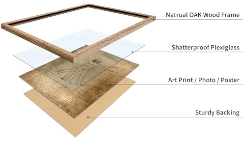 Classic Leonardo Da Vinci Poster