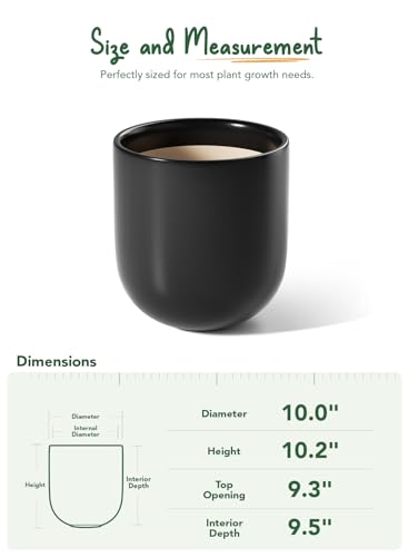 10 Inch Plant Pot