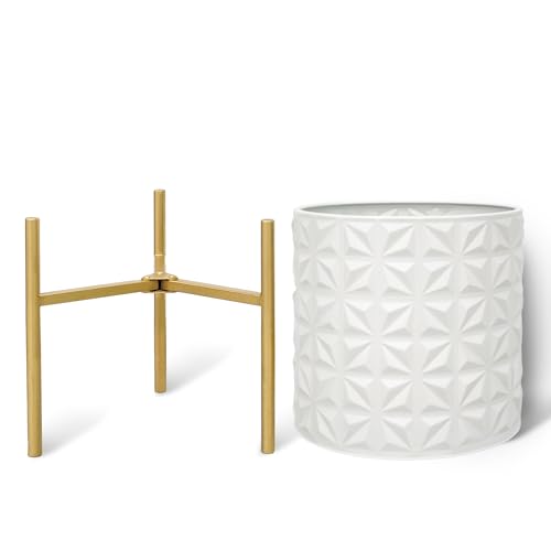 Modern Planter Pots