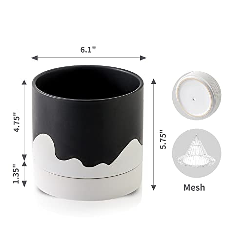 Ceramic Plant Pot