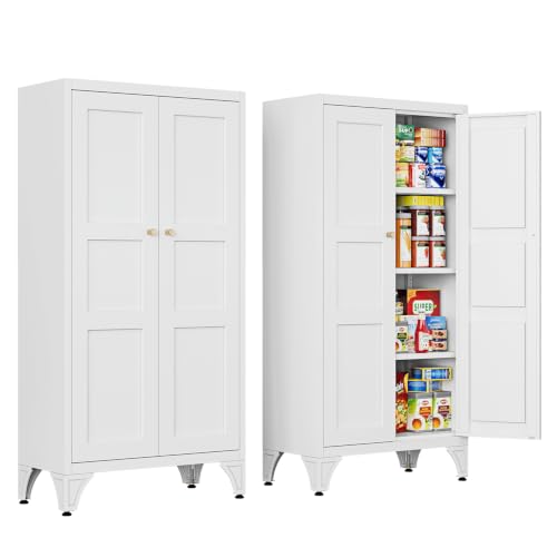 Metal Storage Cabinet with Doors and Shelves