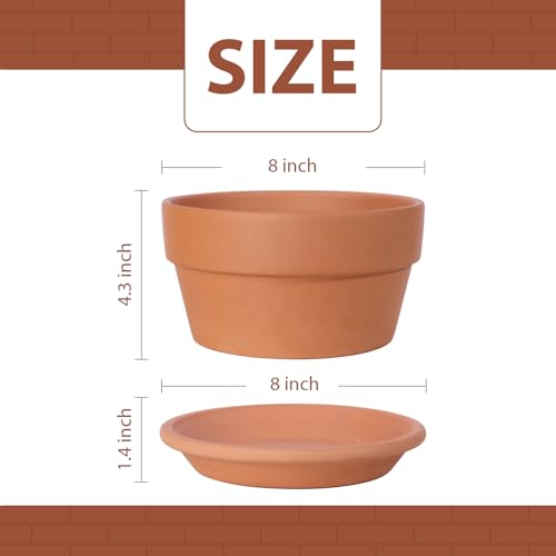 8 Inch Terracotta Shallow Pots Set with Saucer (2 Count)