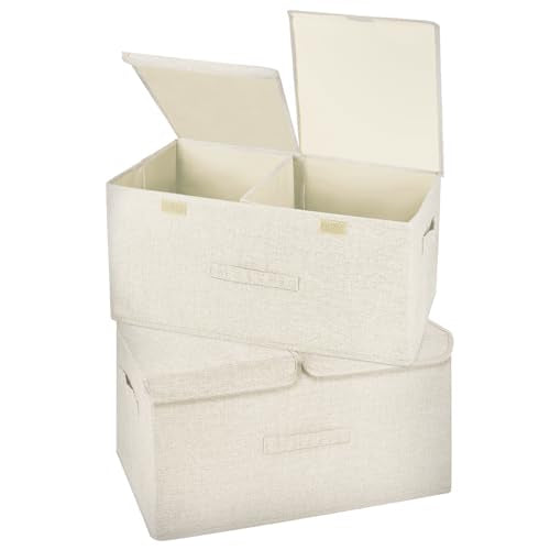 2 Pack Storage Boxes with Lids and Handles (2 Count)