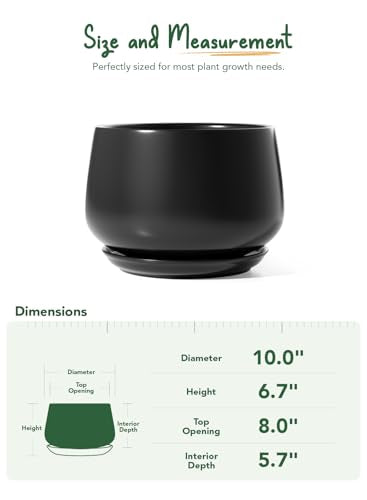 Ceramic Planter