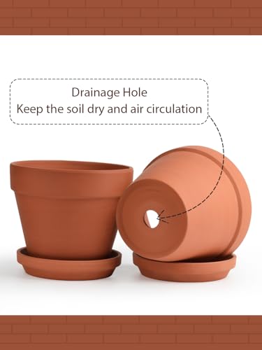 Terracotta Pots Set with Saucer (2 Count)