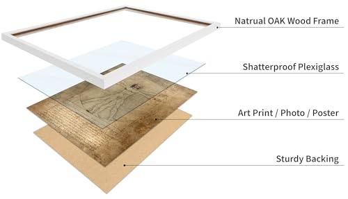 Classic Leonardo Da Vinci Poster