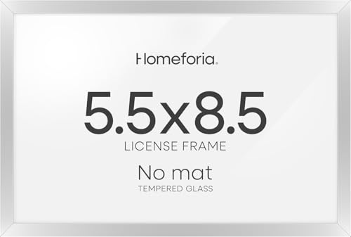 5.5x8.5 Silver Business License Frame (2 Count)