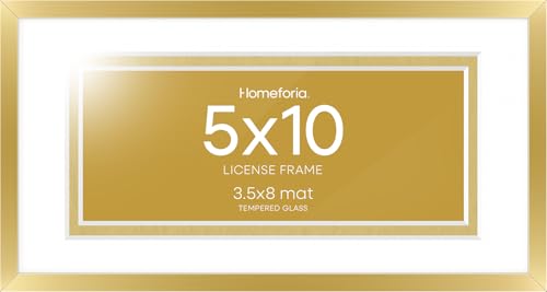 5x10 Gold License Frame (3 Count)