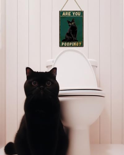 Black Cat Are You Pooping Metal Tin Sign Vintage Bathroom Decor 8x12"