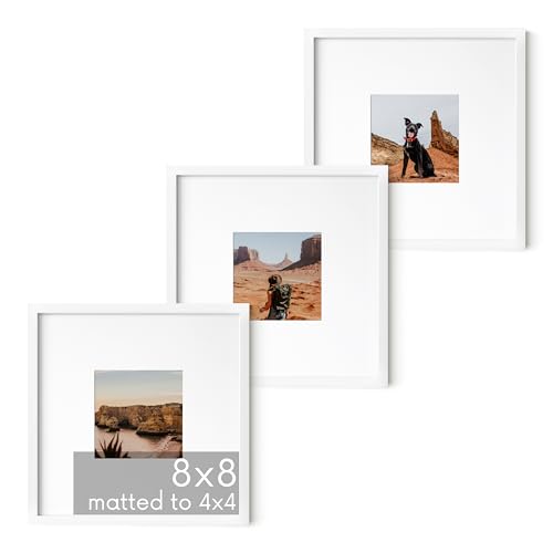 8x8 White Metal Picture Frames Matted to 4x4