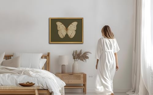 Wood Framed Butterfly Wall Art