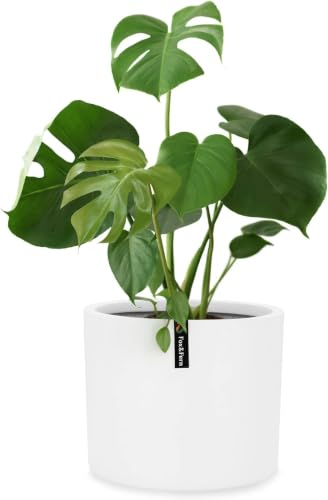Large Planter for Indoor or Outdoor