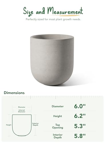6 Inch Ceramic Plant Pot