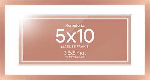5x10 Rose License Frame (3 Count)