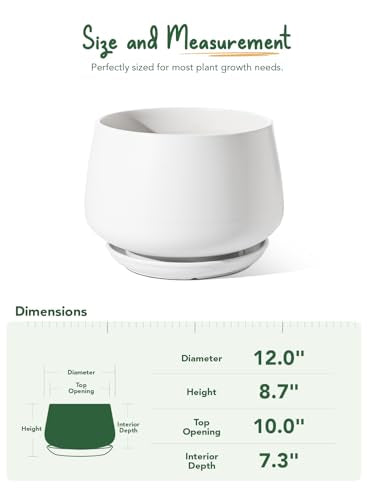 Ceramic Planter