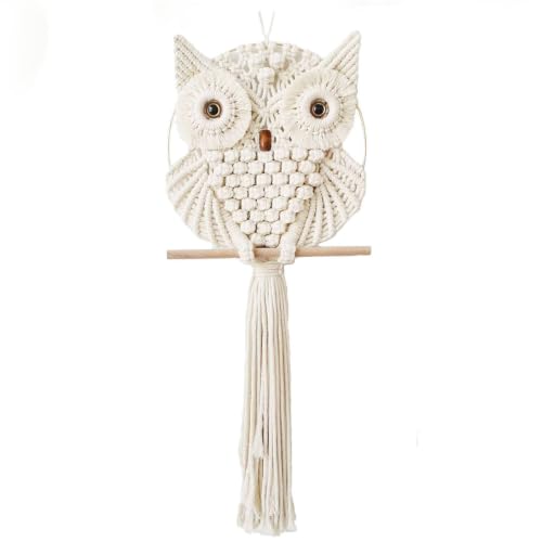 Owl Macrame Wall Hanging