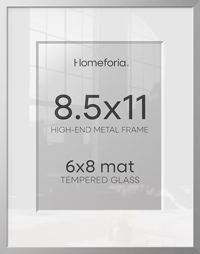 8.5x11 Silver Picture Frame