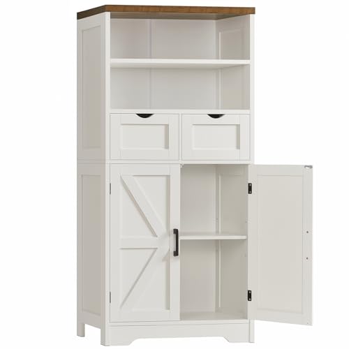Storage Cabinet with Doors & 2 Drawers