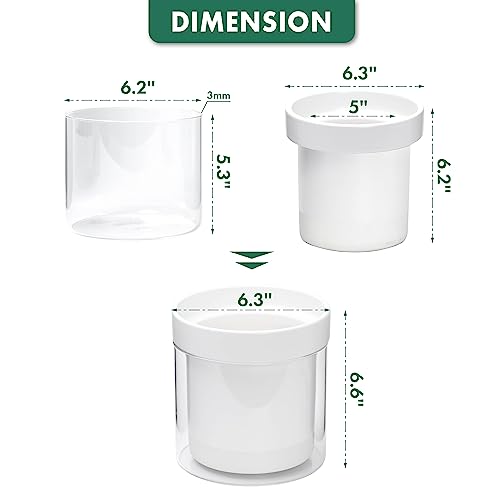 6 Inch Self Watering Planter
