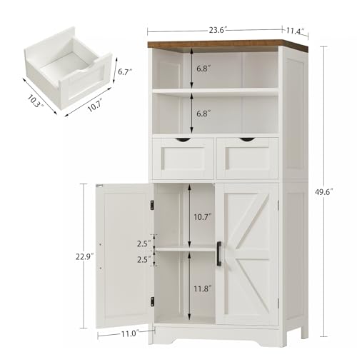 Storage Cabinet with Doors & 2 Drawers