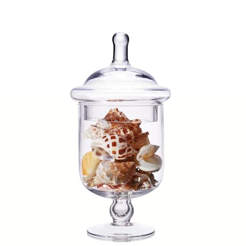 Small Glass Apothecary Jars with Lid