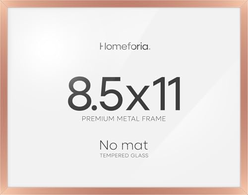 8.5x11 Rose Diploma Frame (2 Count)