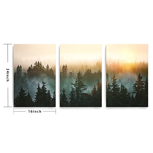 Forest Bathed in Sunlight Canvas Print Picture Painting Wall Art for Bedroom Living Room Framed 3 Piece Artwork Wall Decor for Bathroom Modern Room Plants Wall Decorations Size 16x24x3 Ready to Hang