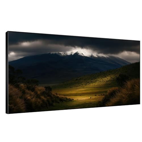 24"x46" Extra Large Framed Wall Art Majestic Snow