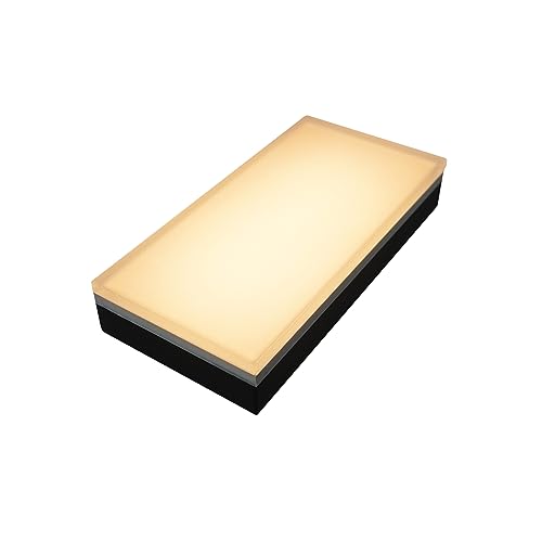Paver Light 6x12 Inch
