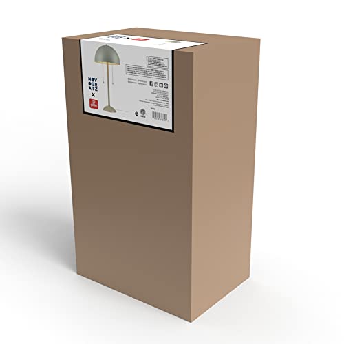 Globe Novogratz x Electric 65850 Haydel 21" 2