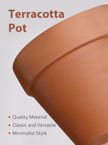 Terracotta Pot with Saucer