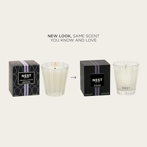 Scented Classic Candle (8.1 Ounce)