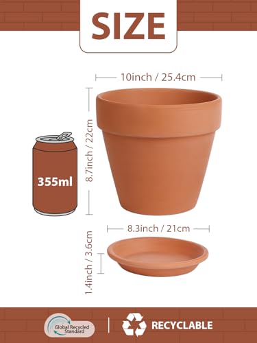 Terracotta Pot with Saucer