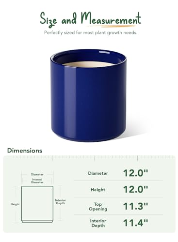 12 Inch Pot for Plants