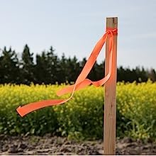 4 Ft. Garden Stakes (50 Count)
