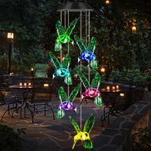 Hummingbird Decor Gifts