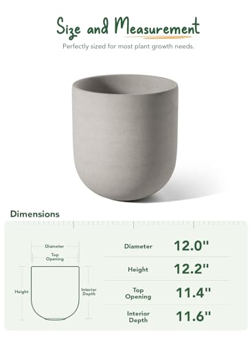 12 Inch Pots for Plants