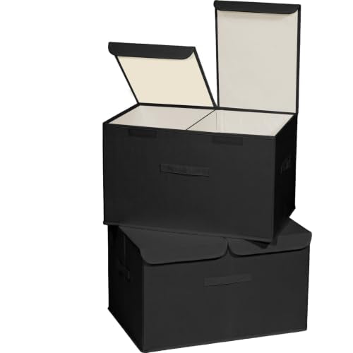 2 Pack Storage Boxes with Lids and Handles (2 Count)