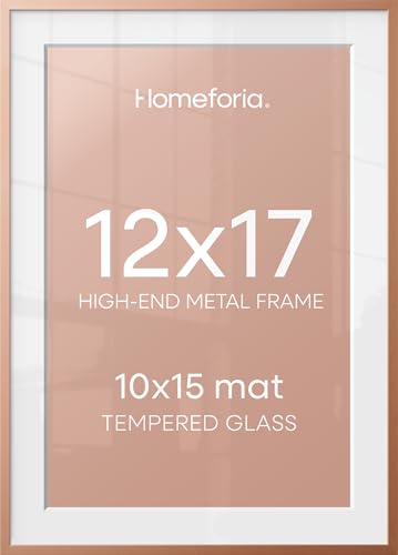12x17 Rose Picture Frame