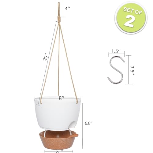 8 inch Hanging Planters (2 Count)