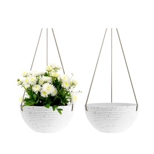 2 Pack Hanging Planter (2 Count)