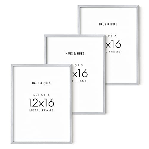 12x16 Silver Picture Frames (3 Count)